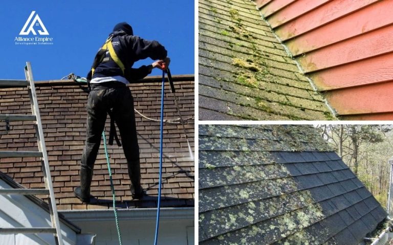 How to remove mold from roof - Denver best guide here