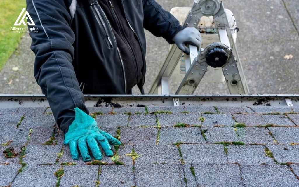 What roof mold is and why it shows up in Denver