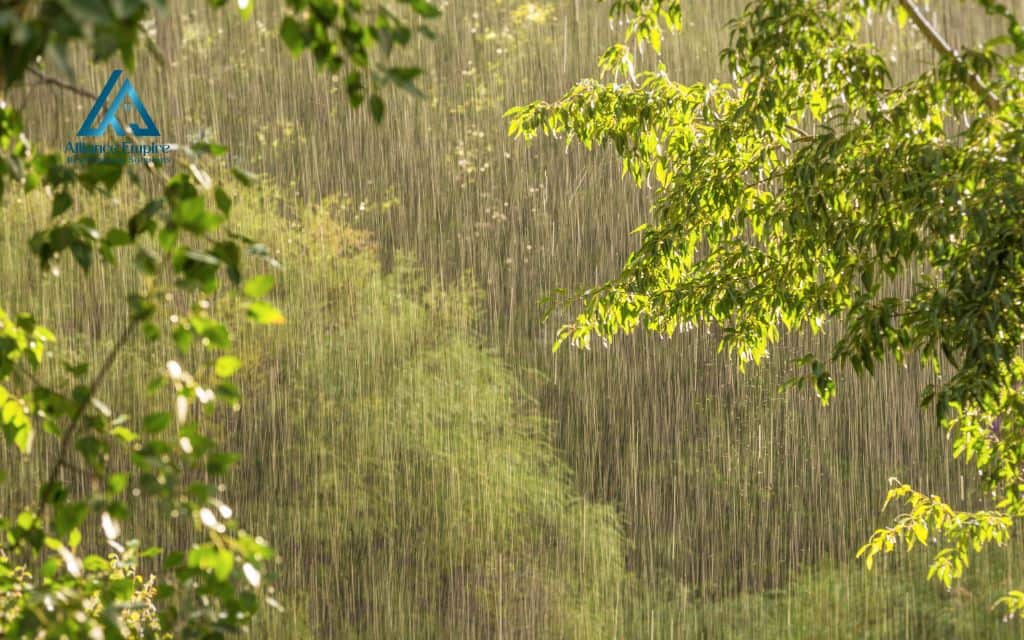 construction risk management: Environmental risks