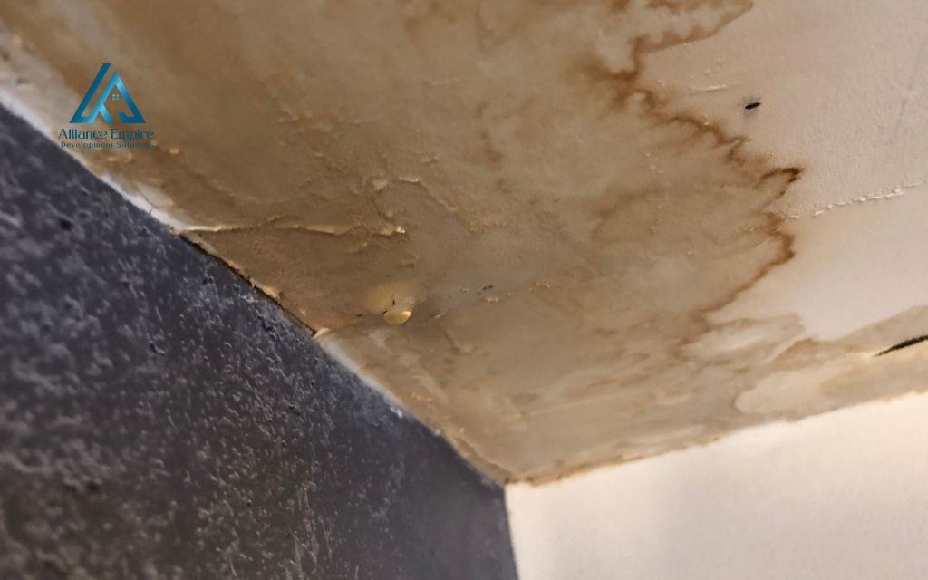 Signs of mold from a roof leak