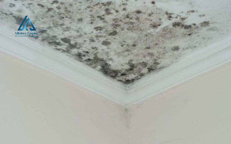 Will a leak in the roof cause mold? Warning signs, how fast it spreads and how to stop it
