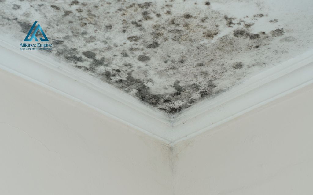 Will a leak in the roof cause mold? Warning signs, how fast it spreads and how to stop it