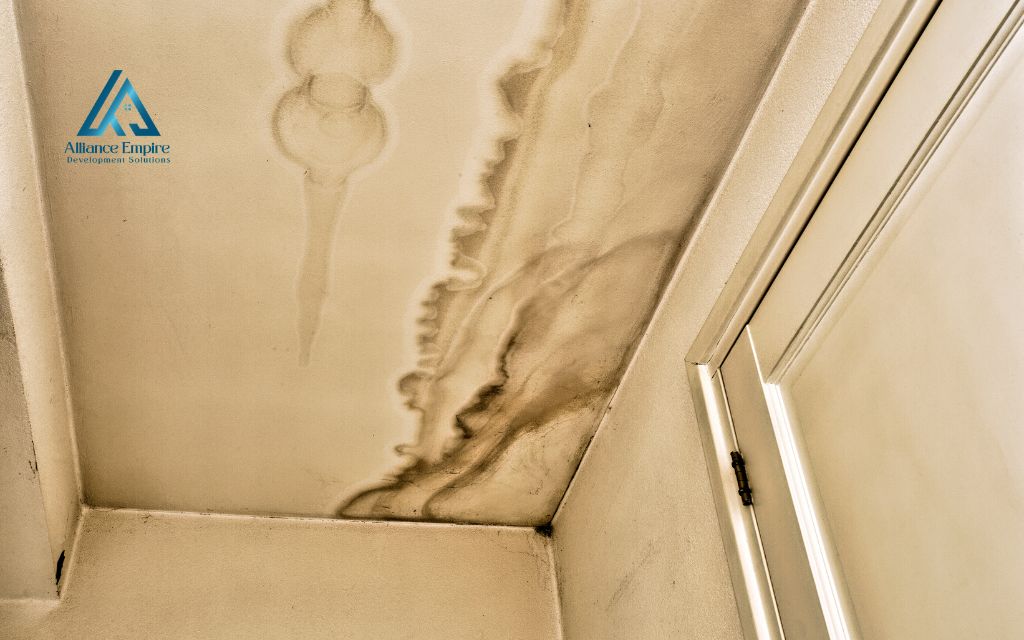 Will a leak in the roof cause mold?