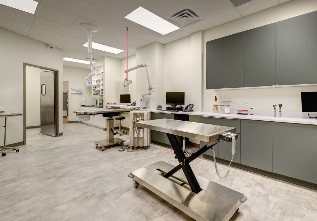 Veterinary Clinic Design + Build Services