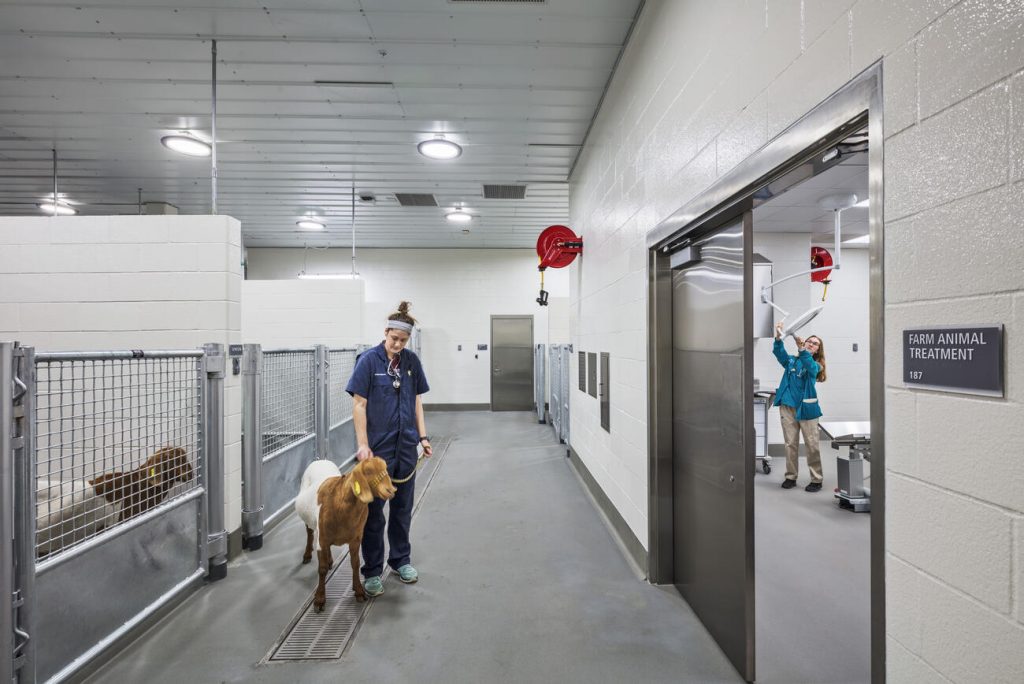 Veterinary construction